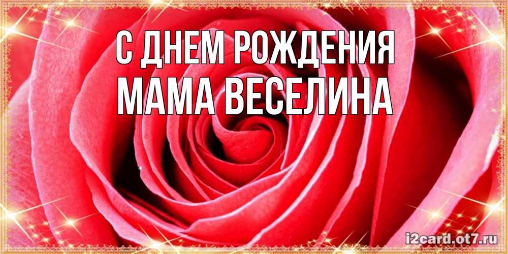 Открытка на каждый день с именем, Мама-Веселина С днем рождения розовая роза очень крупный бутон Прикольная открытка с пожеланием онлайн скачать бесплатно 