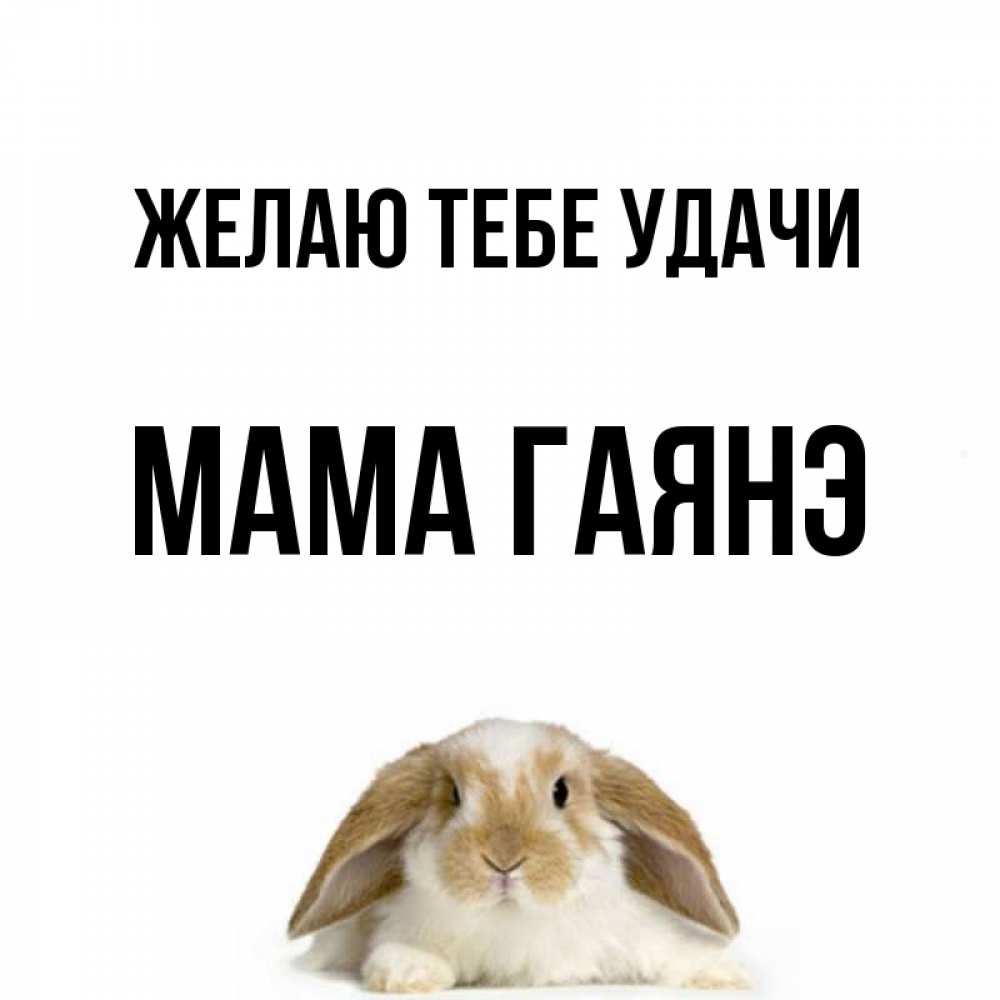 Открытка на каждый день с именем, Мама-Гаянэ Желаю тебе удачи открытки с произвольным текстом который можно вставить в открытку и создать ее самостоятельно бесплатно онлайн Прикольная открытка с пожеланием онлайн скачать бесплатно 