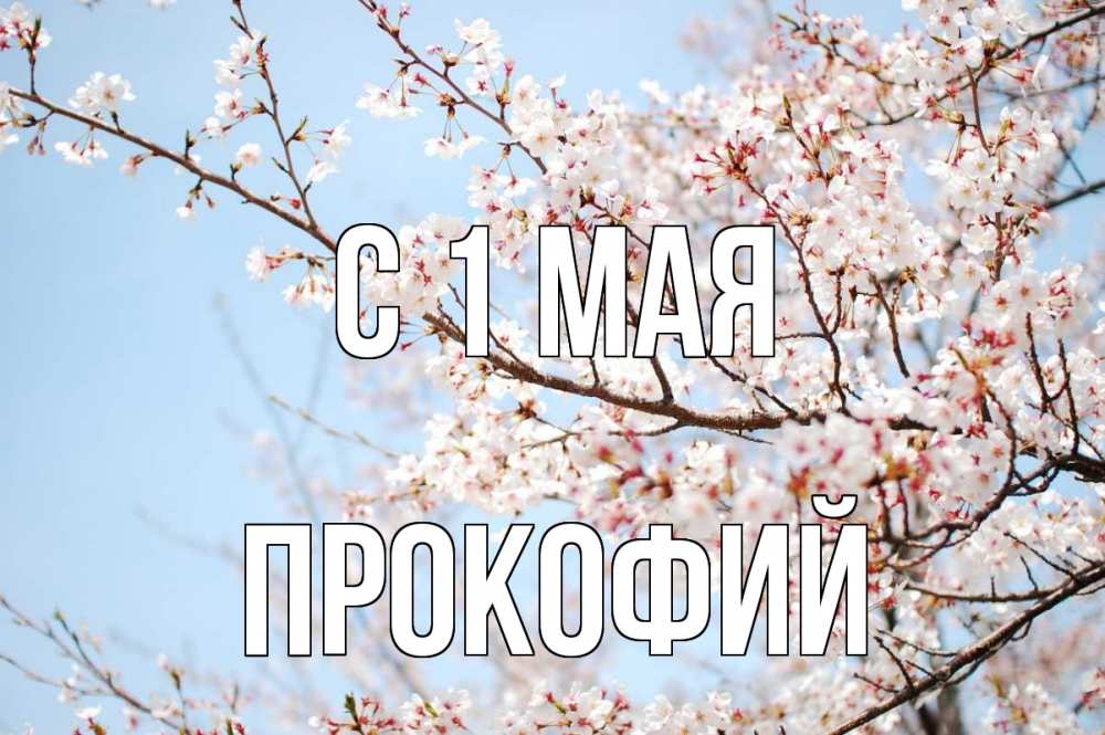 Открытка на каждый день с именем, Прокофий С 1 мая С 1 мая Прикольная открытка с пожеланием онлайн скачать бесплатно 
