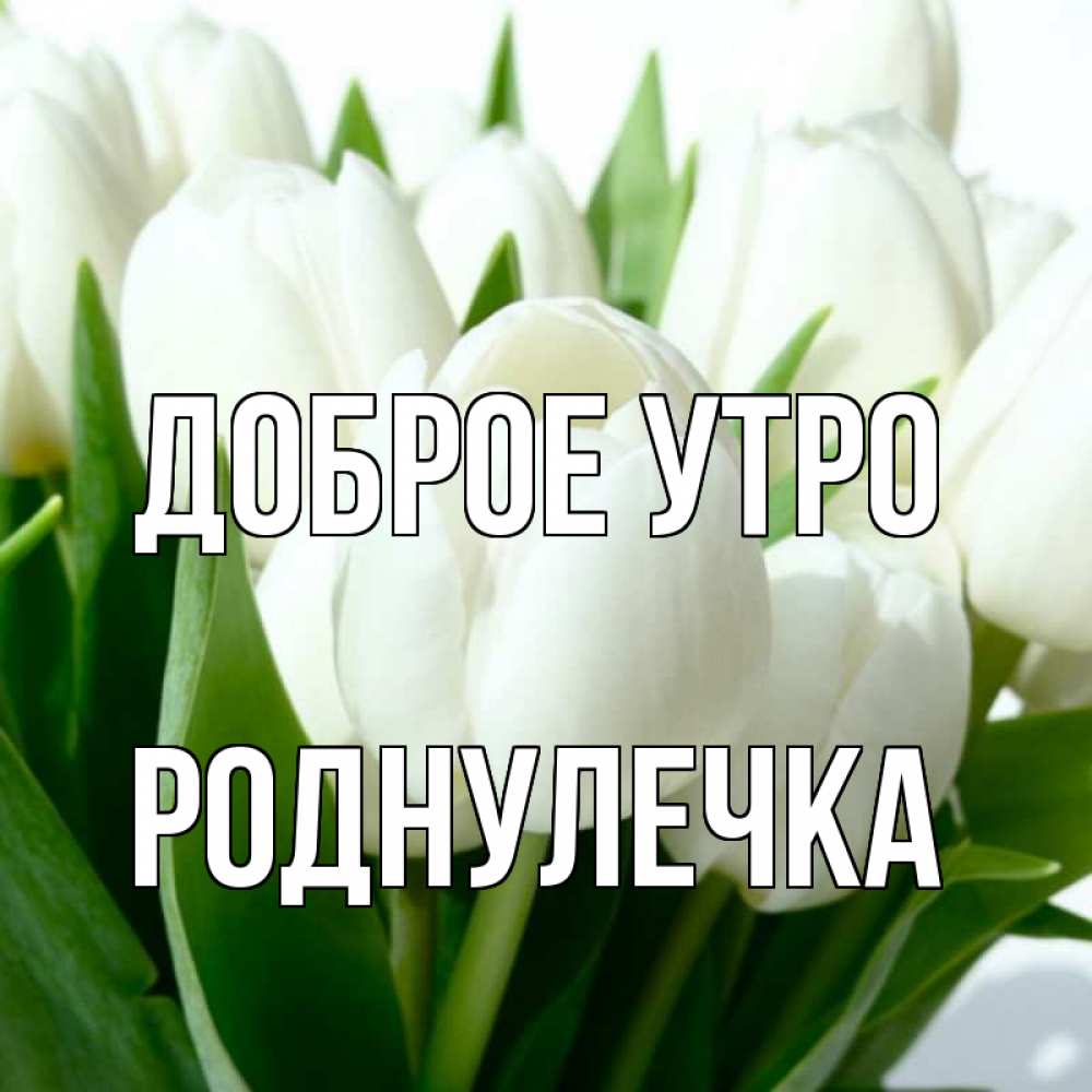Открытка на каждый день с именем, Роднулечка Доброе утро открытки на каждый день по именам Прикольная открытка с пожеланием онлайн скачать бесплатно 