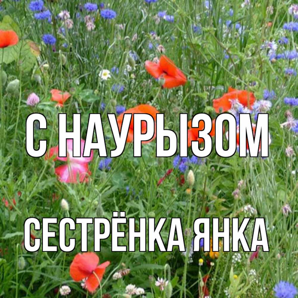 Открытка на каждый день с именем, Сестрёнка-Янка С наурызом праздник весны наурыз супер открытка Прикольная открытка с пожеланием онлайн скачать бесплатно 