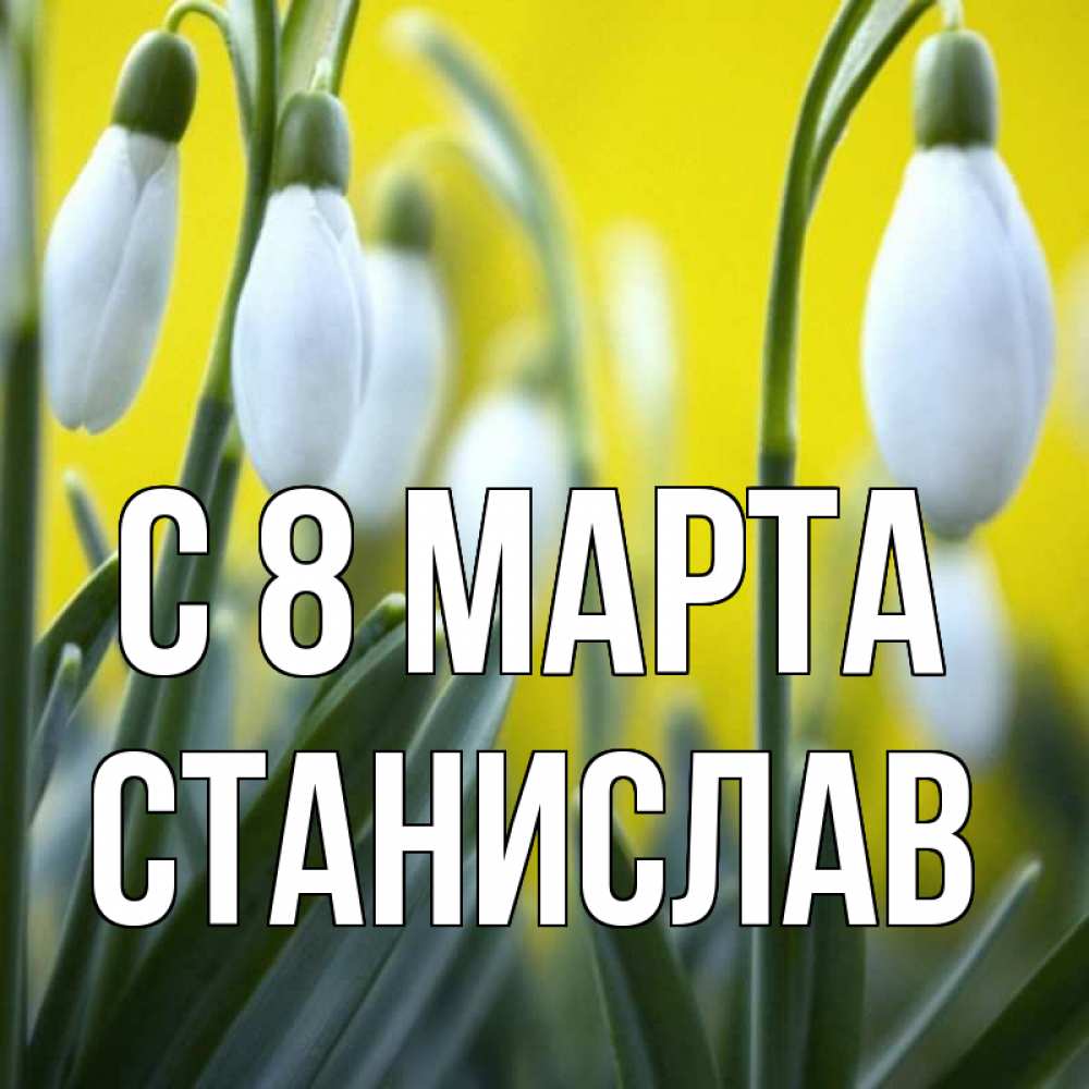 Открытка на каждый день с именем, Станислав С 8 МАРТА весенние цветы Прикольная открытка с пожеланием онлайн скачать бесплатно 