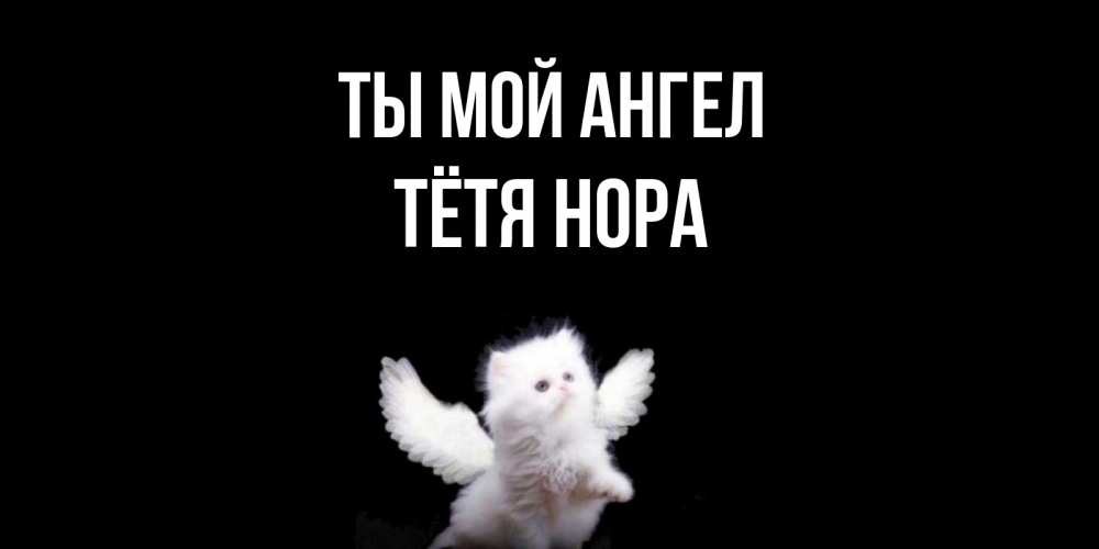 Открытка на каждый день с именем, Тётя-Нора Ты мой ангел Кот ангел Прикольная открытка с пожеланием онлайн скачать бесплатно 