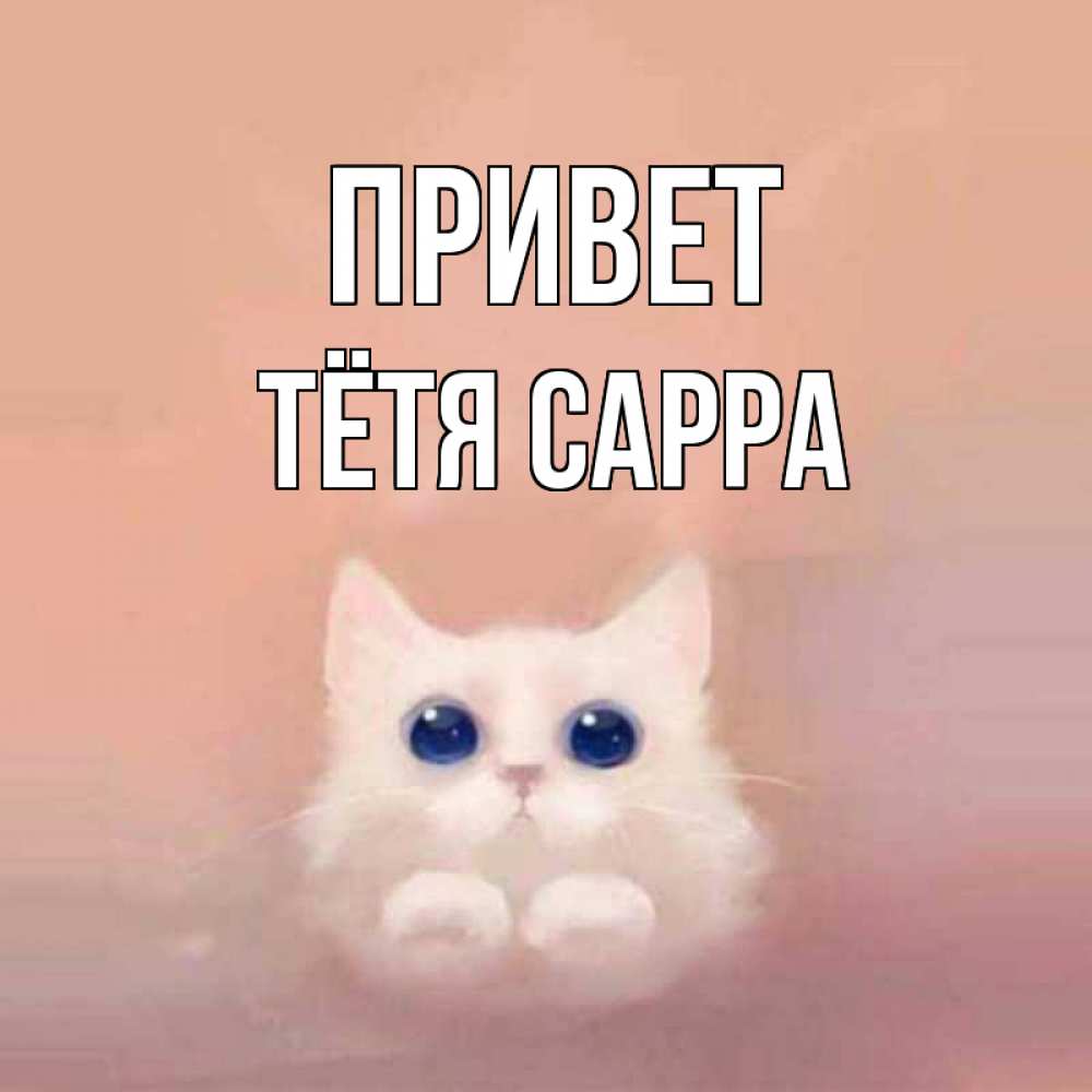 Открытка на каждый день с именем, Тётя-Сарра Привет котик белый в полете Прикольная открытка с пожеланием онлайн скачать бесплатно 