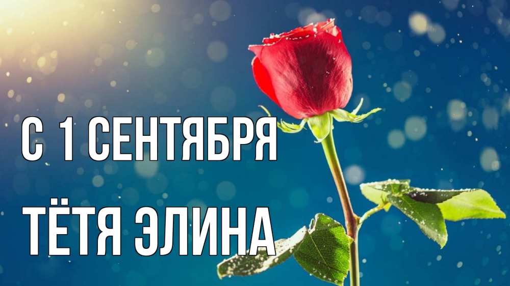 Открытка на каждый день с именем, Тётя-Элина С 1 сентября с днем знаний Прикольная открытка с пожеланием онлайн скачать бесплатно 