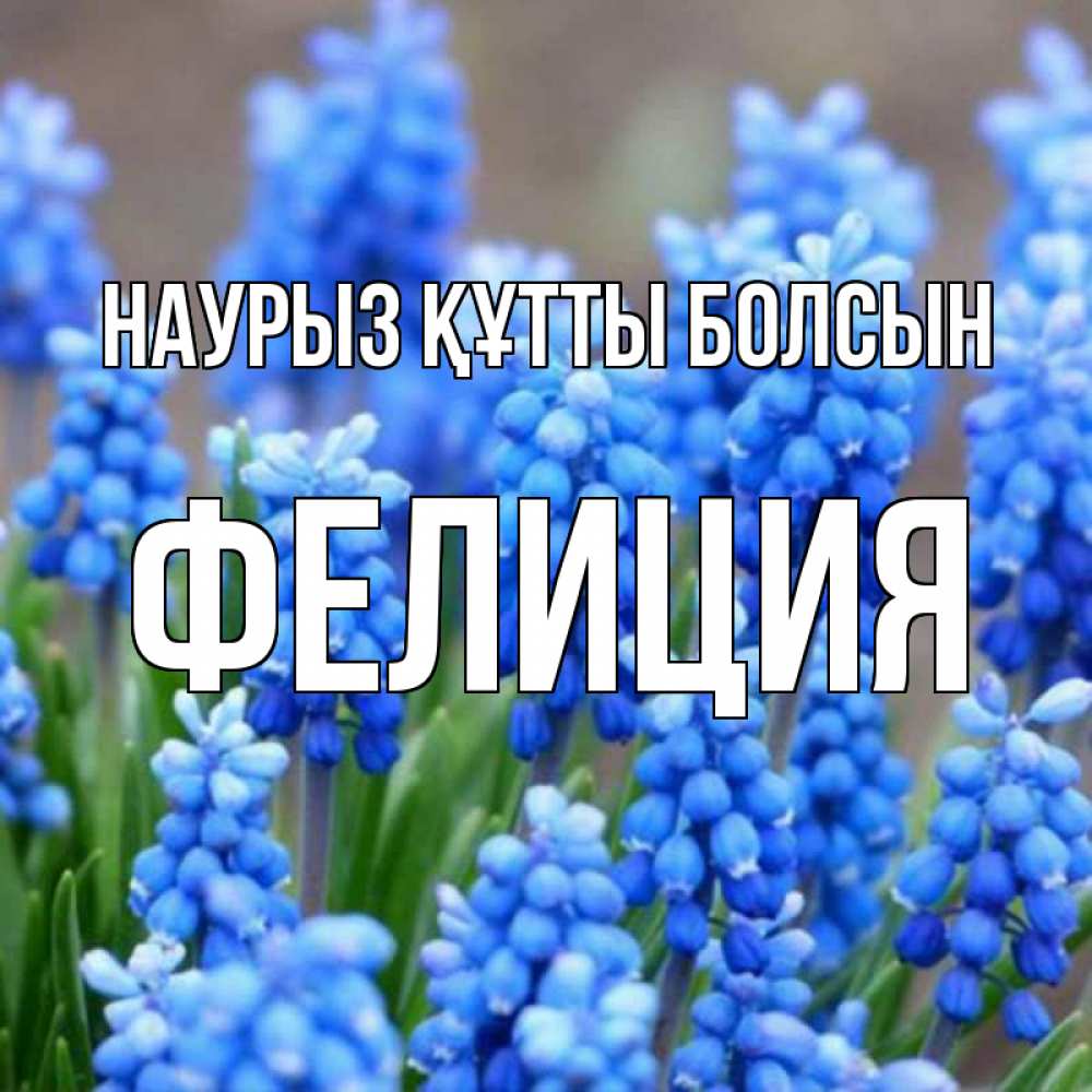 Открытка на каждый день с именем, Фелиция Наурыз құтты болсын Поздравительная открытка для женщин с цветами на праздничную дату Прикольная открытка с пожеланием онлайн скачать бесплатно 