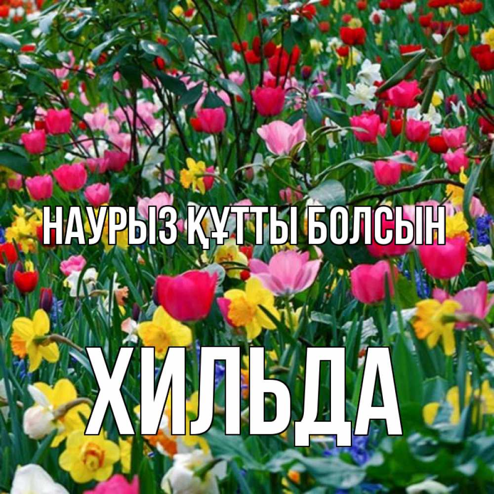 Открытка на каждый день с именем, Хильда Наурыз құтты болсын с наурызом поздравления для женщины Прикольная открытка с пожеланием онлайн скачать бесплатно 
