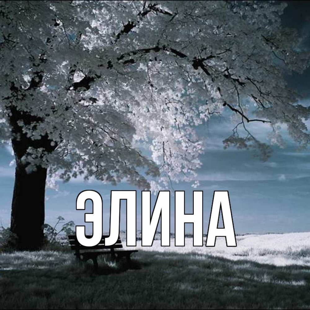 Открытка на каждый день с именем, Элина Главная дерево Прикольная открытка с пожеланием онлайн скачать бесплатно 