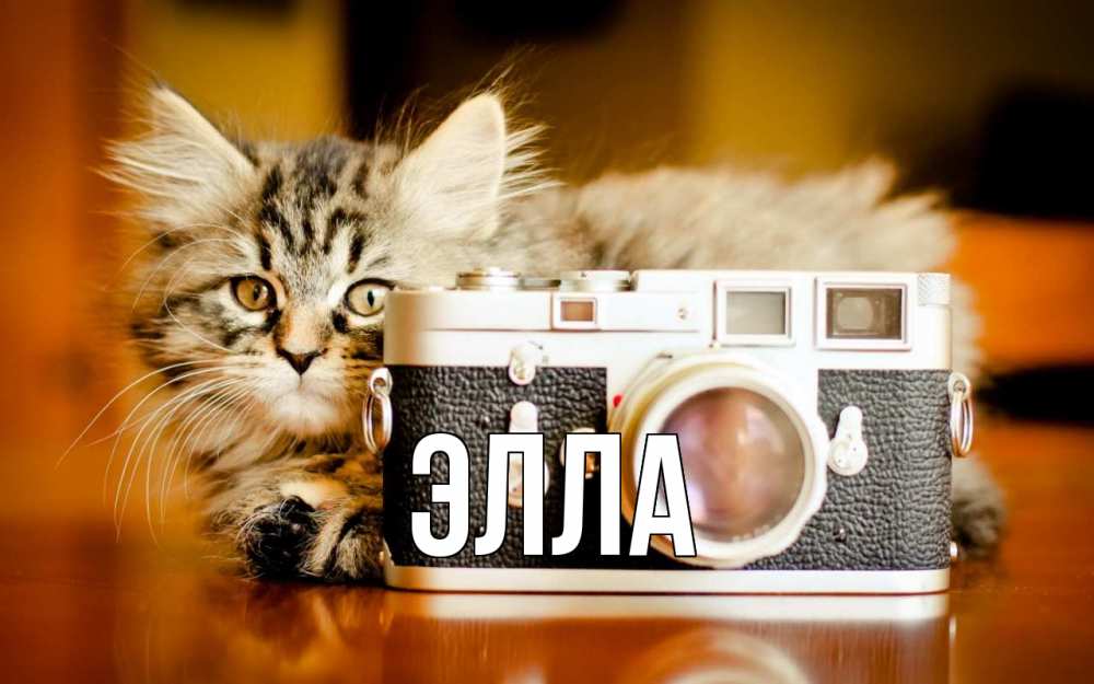 Открытка на каждый день с именем, Элла Главная с днем фотографа Прикольная открытка с пожеланием онлайн скачать бесплатно 