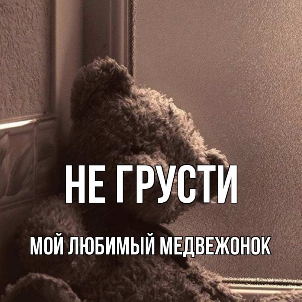 Читать мой любимый не медведь