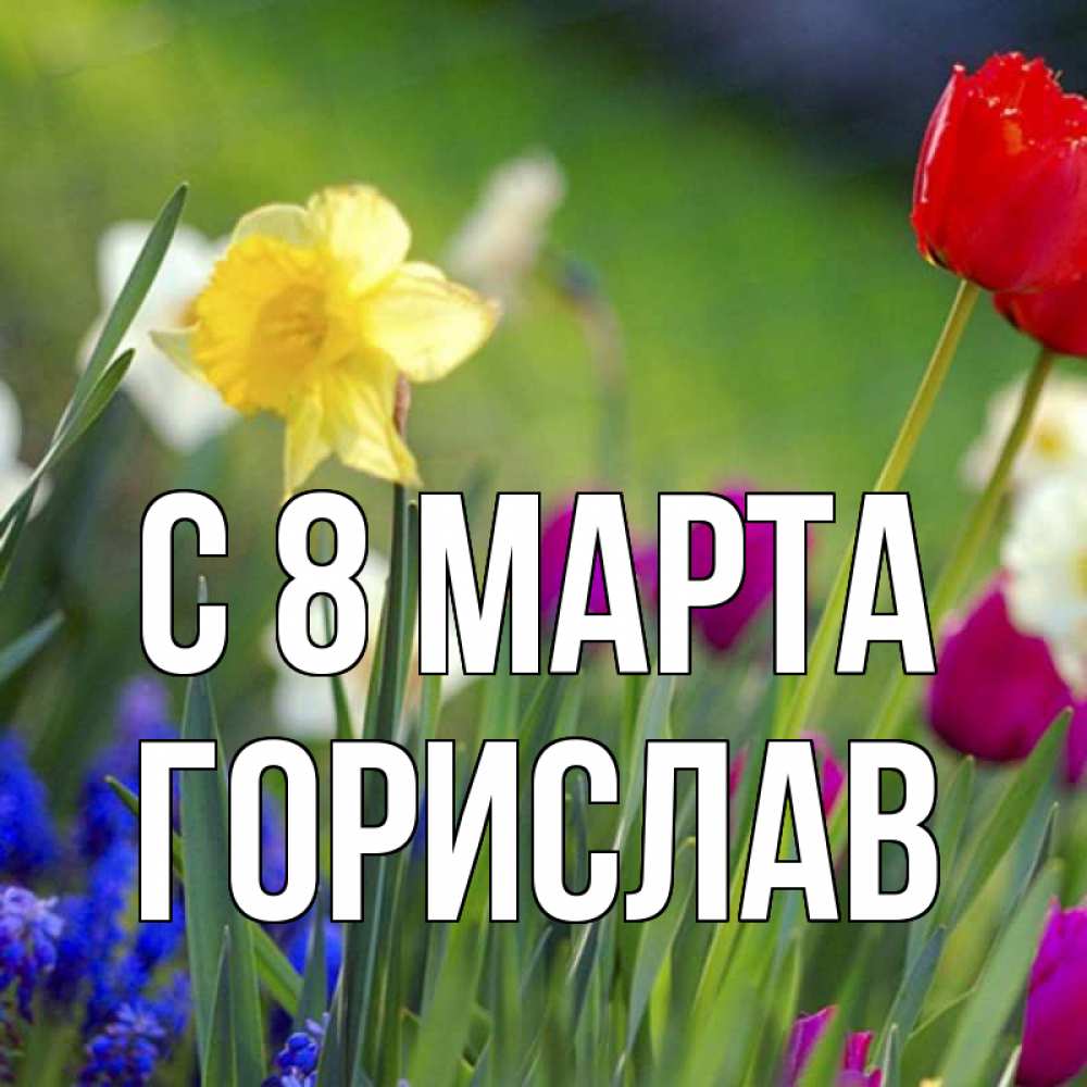 Открытка на каждый день с именем, Горислав С 8 МАРТА международный женский день 3 Прикольная открытка с пожеланием онлайн скачать бесплатно 