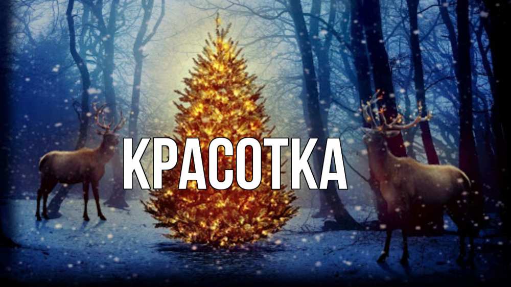 Открытка на каждый день с именем, красотка Главная олени, новогодняя елка Прикольная открытка с пожеланием онлайн скачать бесплатно 