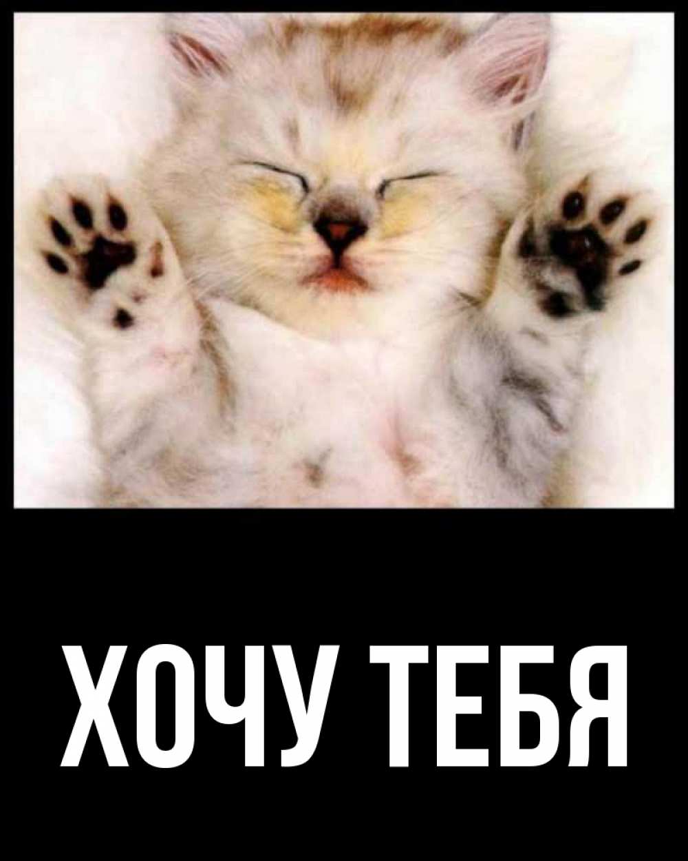 Открытка на каждый день с именем, Хочу-тебя Главная маленький котенок Прикольная открытка с пожеланием онлайн скачать бесплатно 