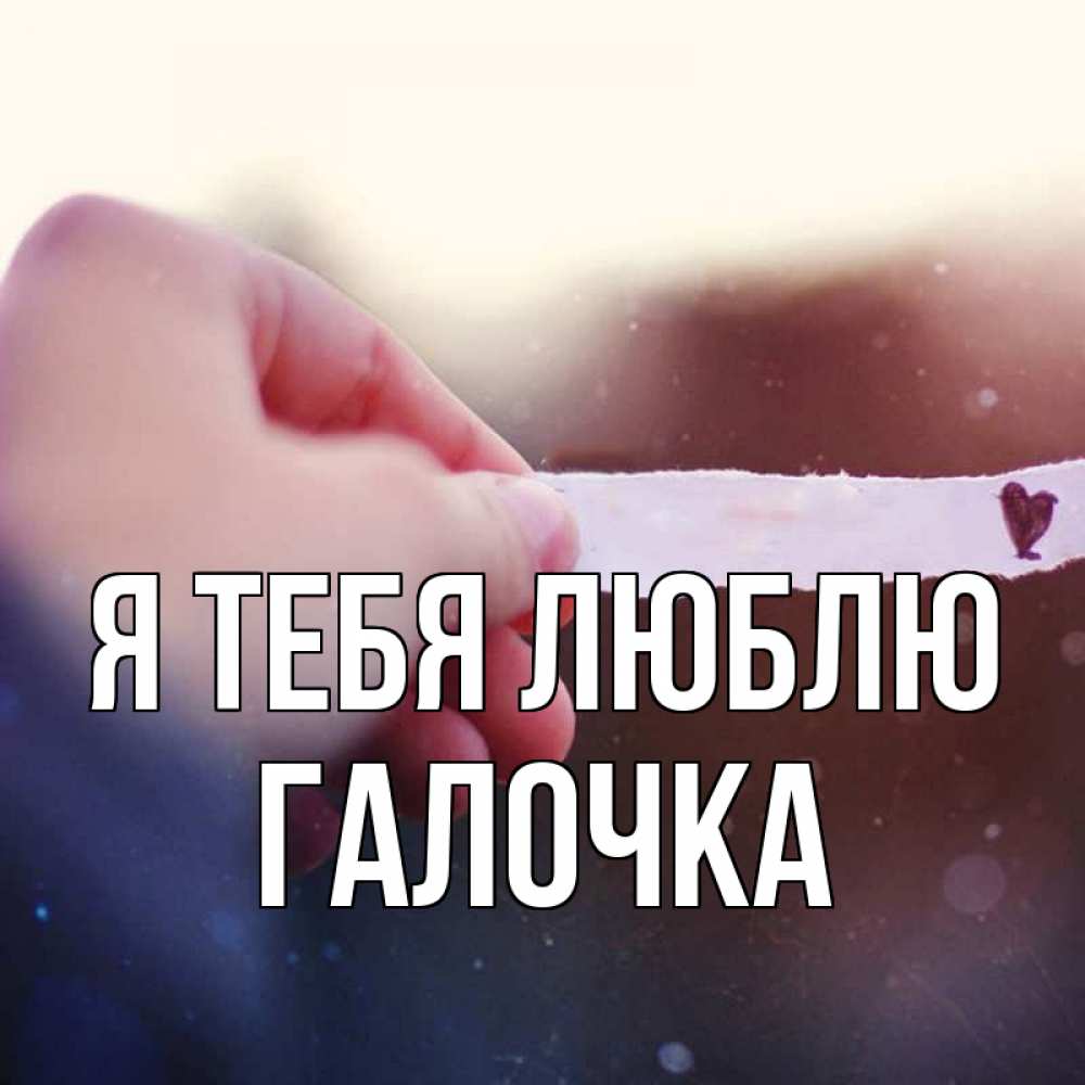 Картинка Я тебя люблю, Галочка