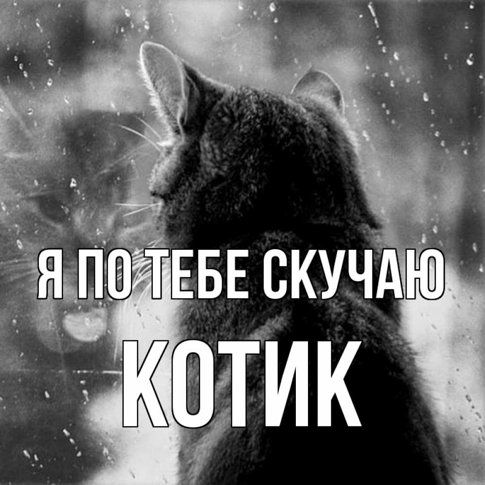 Открытка на каждый день с именем, Котик Я по тебе скучаю скорее ко мне приходи 1 Прикольная открытка с пожеланием онлайн скачать бесплатно 