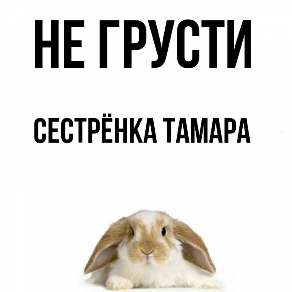 Открытка на каждый день с именем, Сестрёнка-Тамара Не грусти коричнево белый заяц с большими ушками Прикольная открытка с пожеланием онлайн скачать бесплатно 