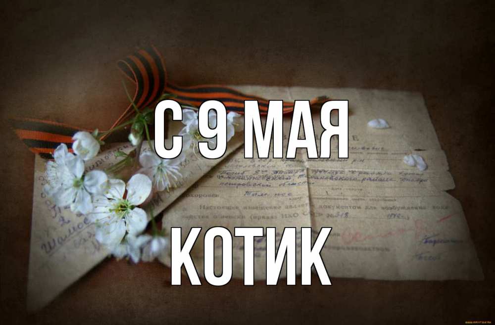Картинка С 9 мая, котик