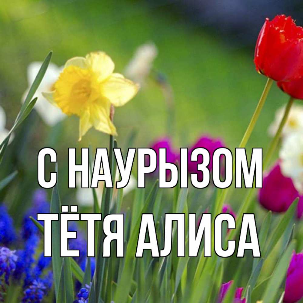 Открытка на каждый день с именем, Тётя-Алиса С наурызом праздник весны наурыз 3 Прикольная открытка с пожеланием онлайн скачать бесплатно 