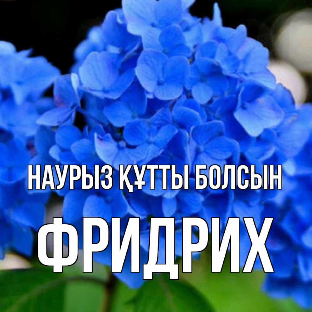 Открытка на каждый день с именем, Фридрих Наурыз құтты болсын синие цветы Прикольная открытка с пожеланием онлайн скачать бесплатно 