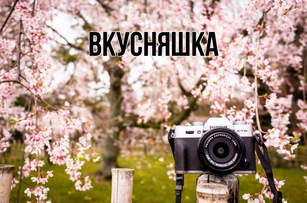 Открытка на каждый день с именем, Вкусняшка Главная сирень с днем фотографа, фотоаппарат Прикольная открытка с пожеланием онлайн скачать бесплатно 