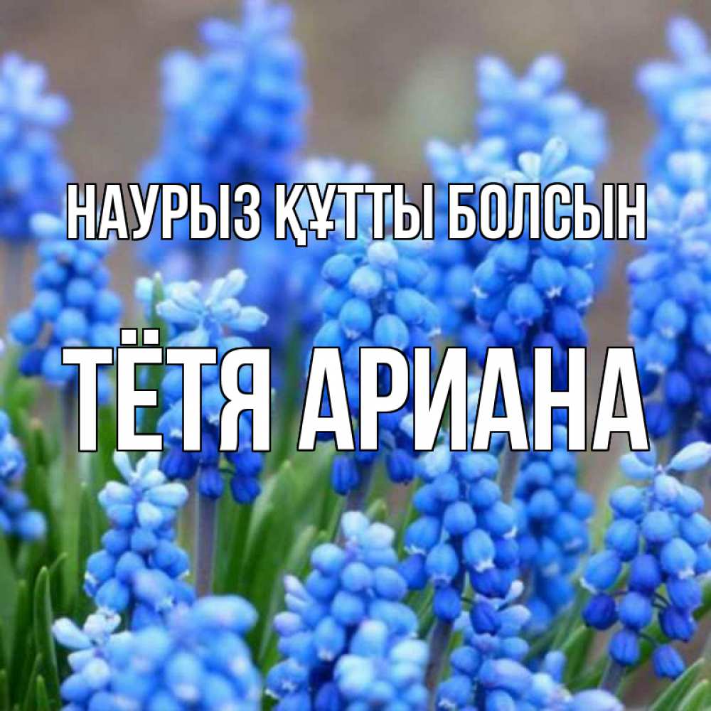 Открытка на каждый день с именем, Тётя-Ариана Наурыз құтты болсын Поздравительная открытка для женщин с цветами на праздничную дату Прикольная открытка с пожеланием онлайн скачать бесплатно 