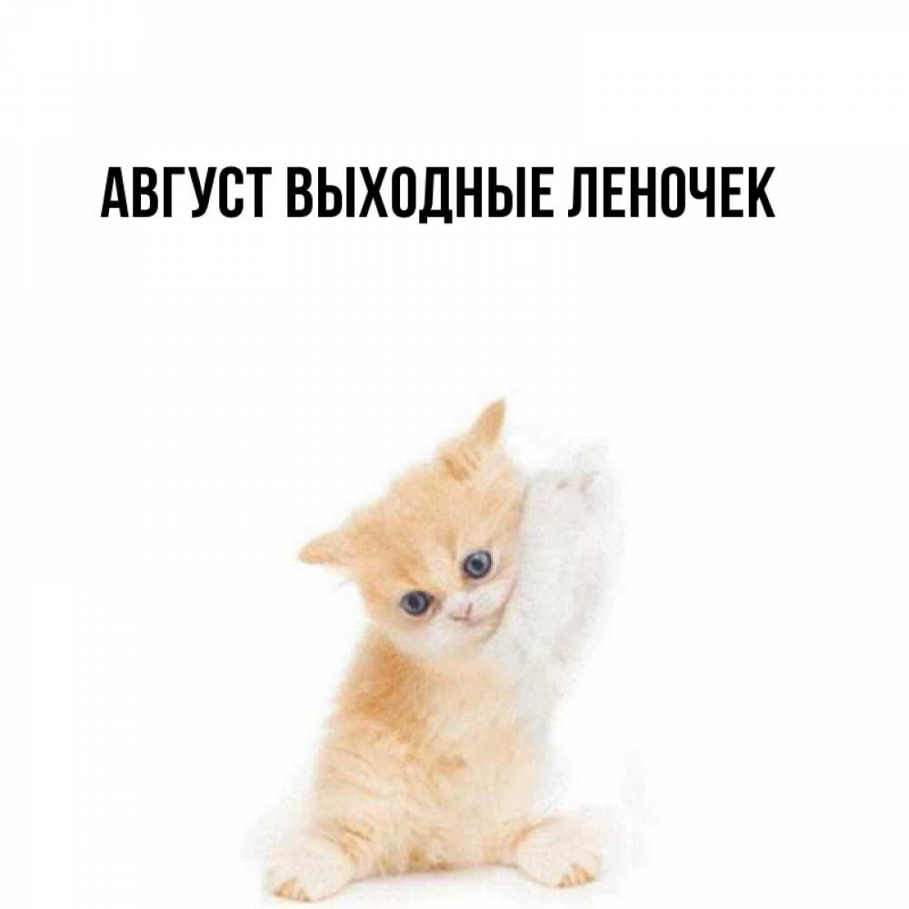 Август им. 27 августа именины. День ангела 15 августа. Август им. Новости картинка надпись.