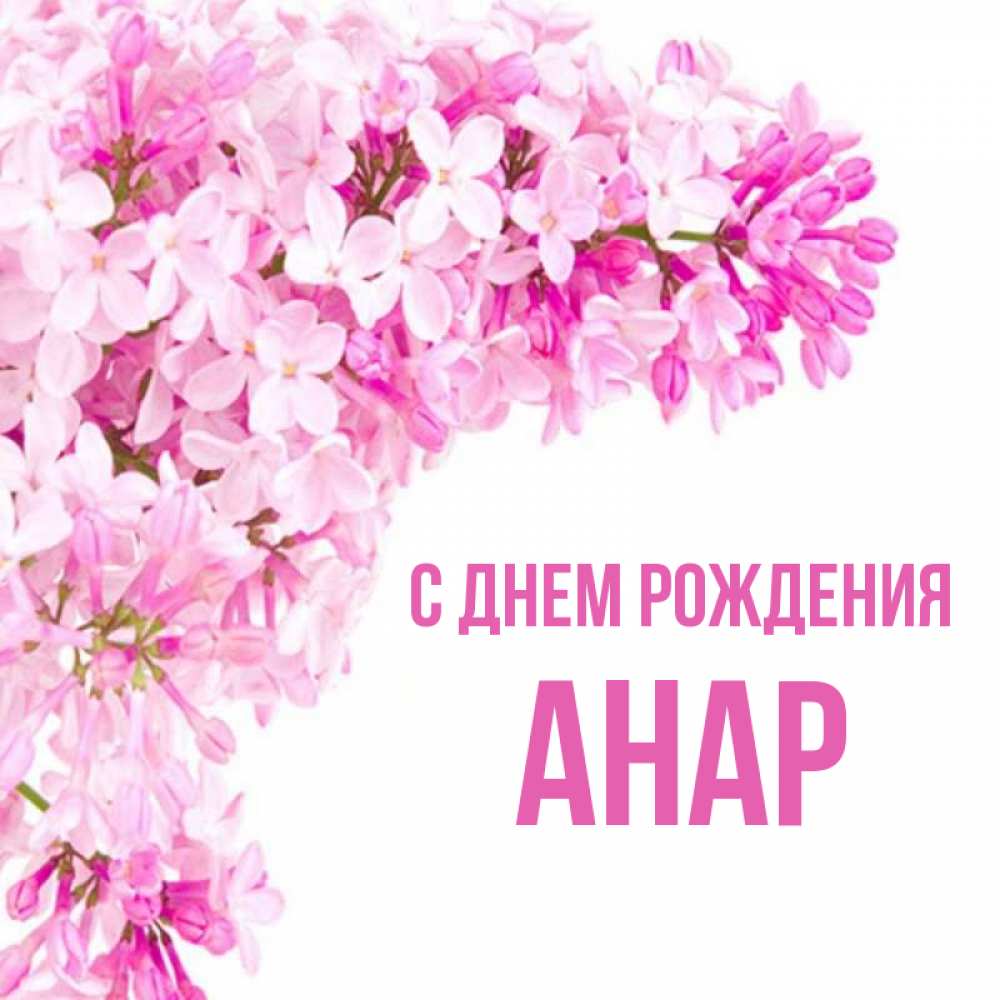 Открытка на каждый день с именем, Анар С днем рождения Сирень на белом фоне Прикольная открытка с пожеланием онлайн скачать бесплатно 