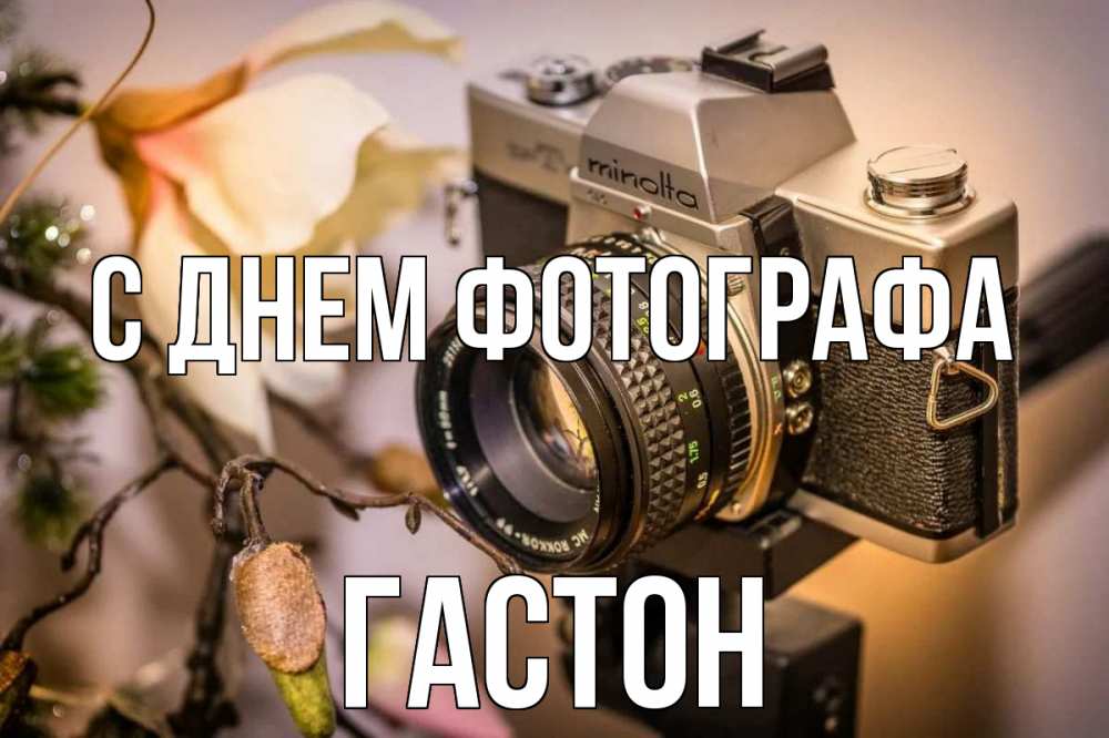 Открытка на каждый день с именем, Гастон С днем фотографа с днем фотографа 1 Прикольная открытка с пожеланием онлайн скачать бесплатно 
