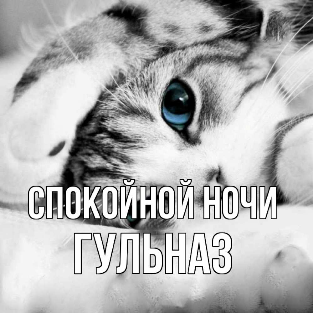 Открытка на каждый день с именем, Гульназ Спокойной ночи кот устал Прикольная открытка с пожеланием онлайн скачать бесплатно 
