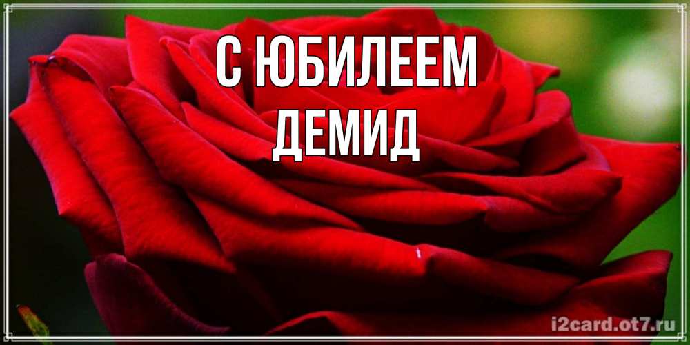 Открытка на каждый день с именем, Демид С юбилеем розочка очень красивая Прикольная открытка с пожеланием онлайн скачать бесплатно 
