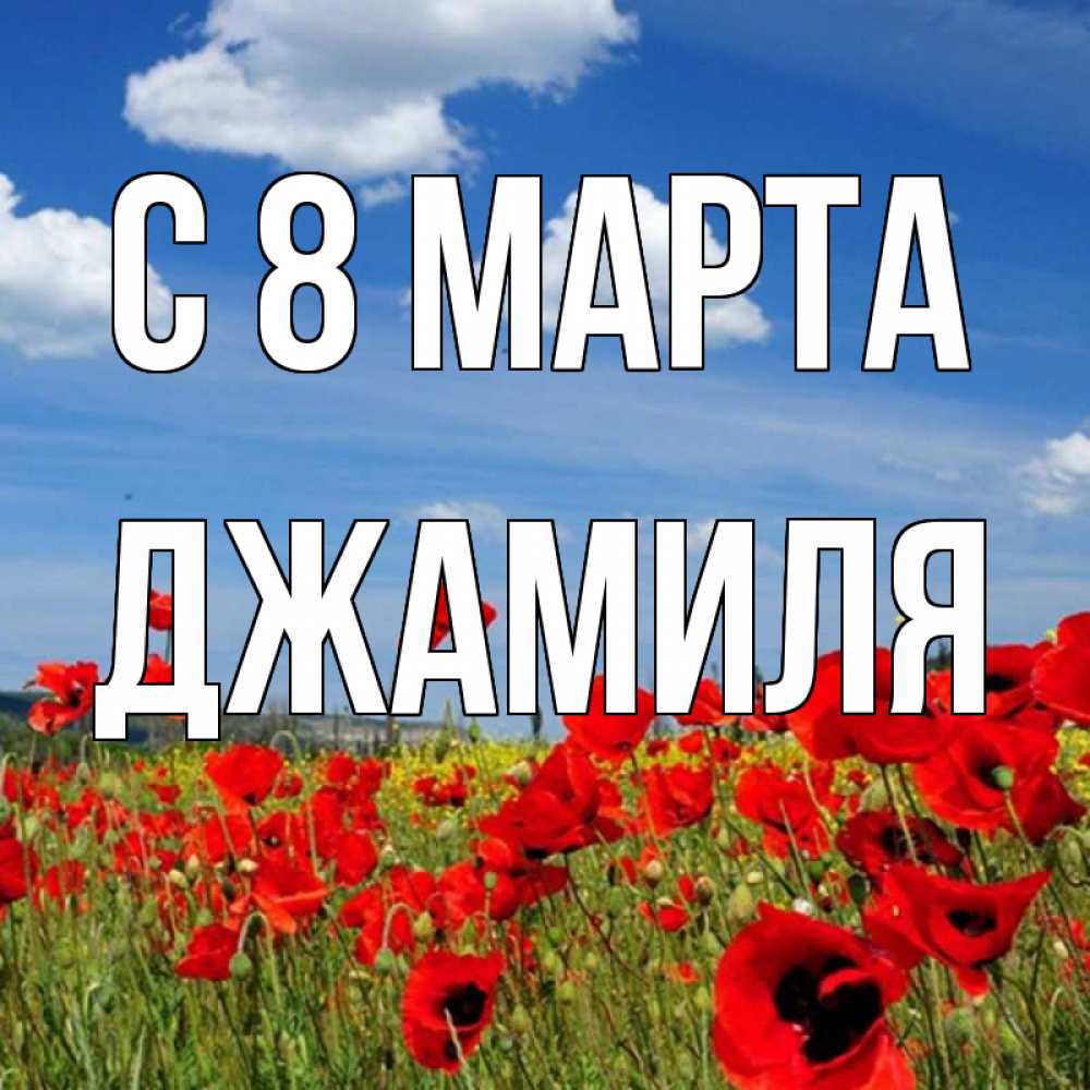 Открытка на каждый день с именем, Джамиля С 8 МАРТА международный женский день 1 Прикольная открытка с пожеланием онлайн скачать бесплатно 