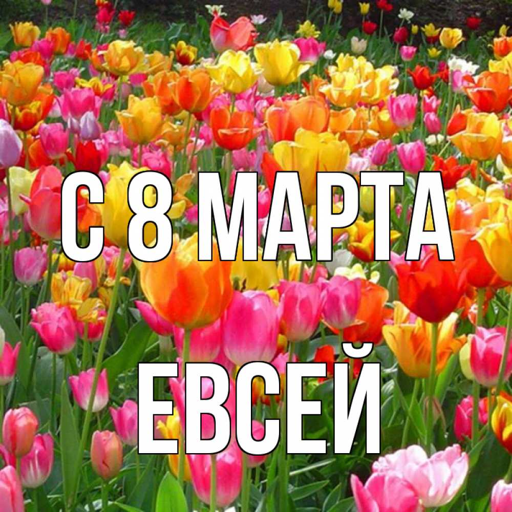 Открытка на каждый день с именем, Евсей С 8 МАРТА на международный женский день Прикольная открытка с пожеланием онлайн скачать бесплатно 