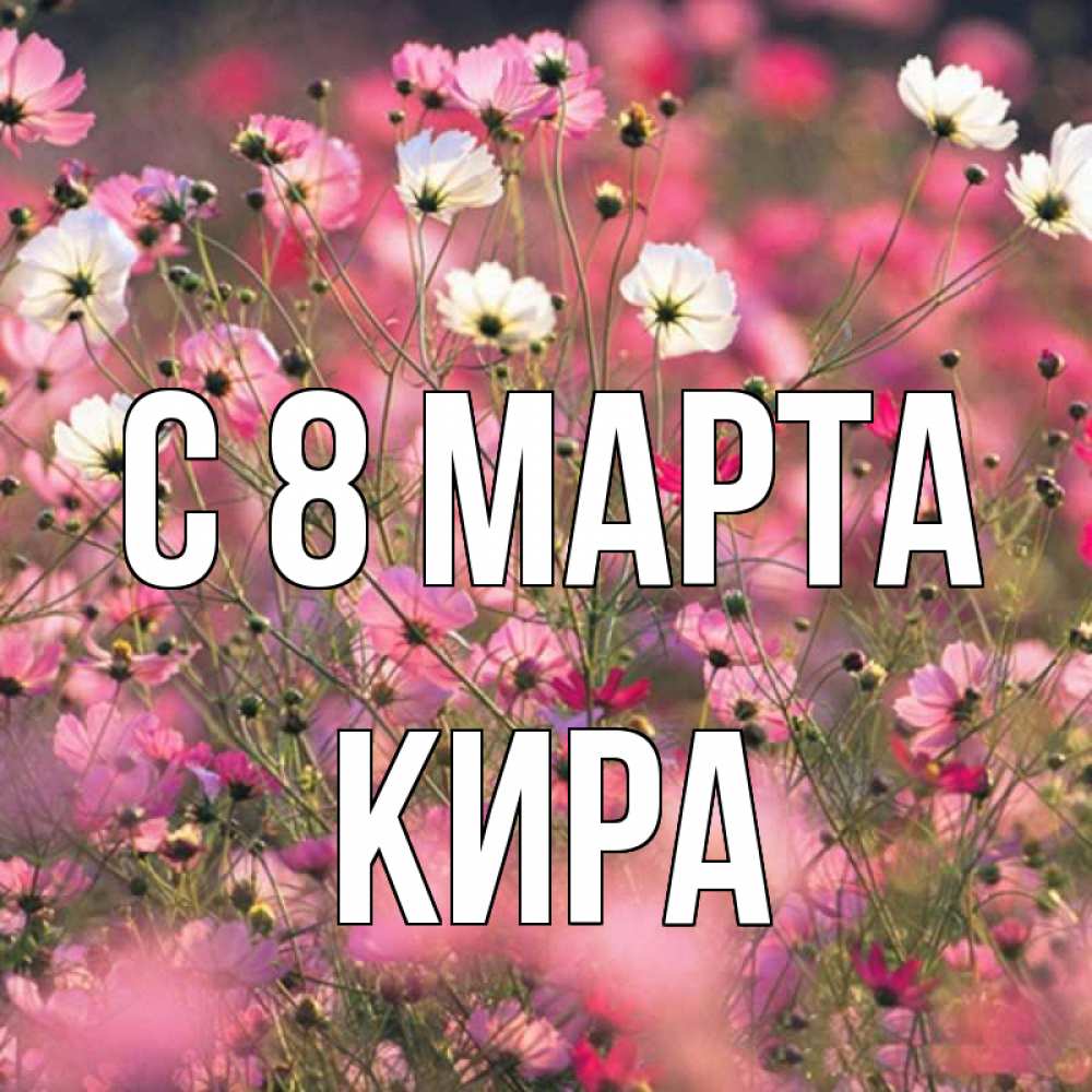 Открытка на каждый день с именем, Кира С 8 марта красиво 1 Прикольная открытка с пожеланием онлайн скачать бесплатно 