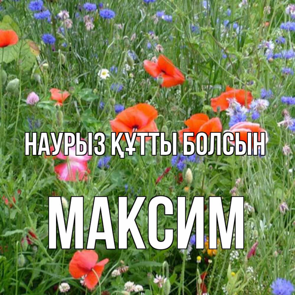 Открытка на каждый день с именем, Максим Наурыз құтты болсын наурыз  4 Прикольная открытка с пожеланием онлайн скачать бесплатно 