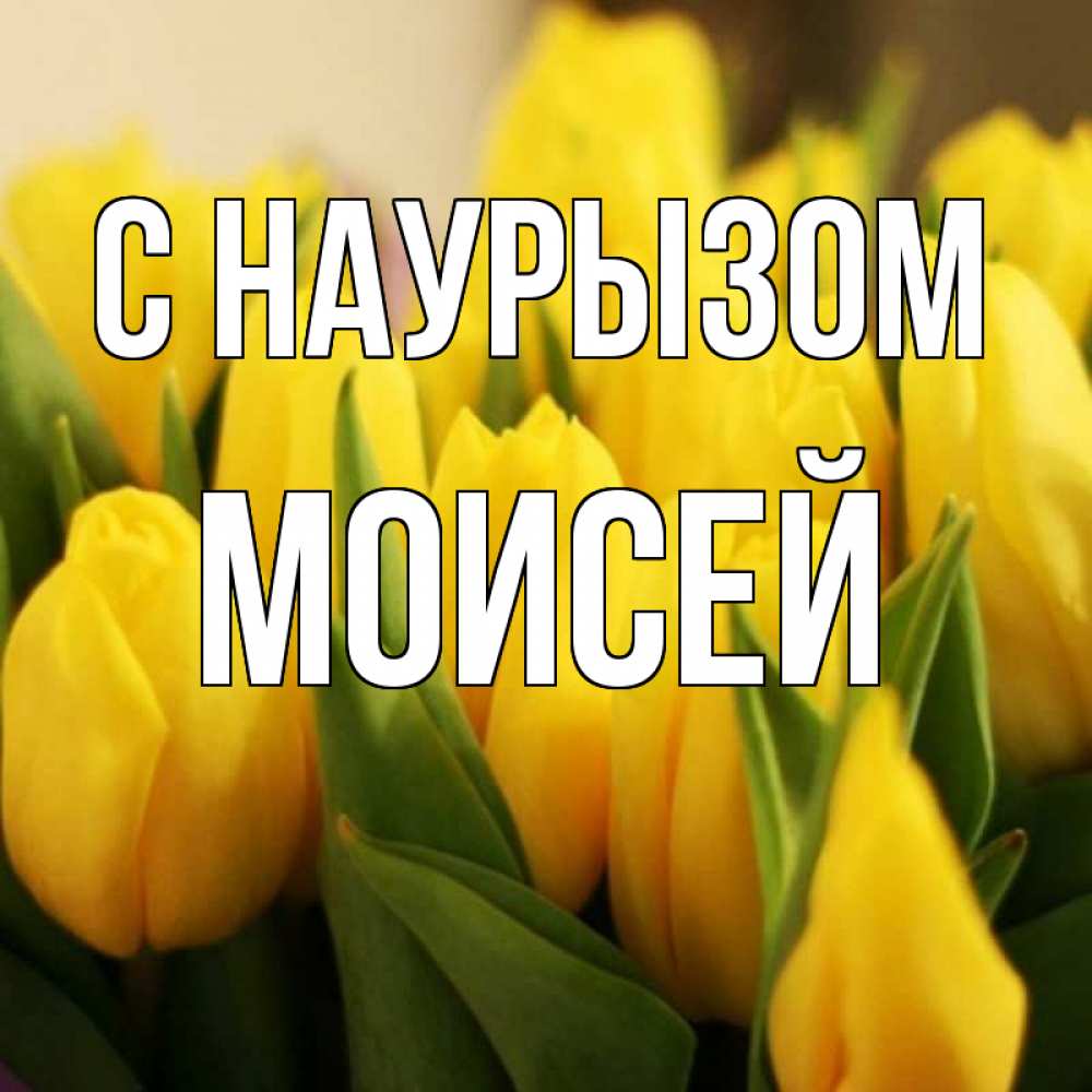 Открытка на каждый день с именем, Моисей С наурызом цветы Прикольная открытка с пожеланием онлайн скачать бесплатно 