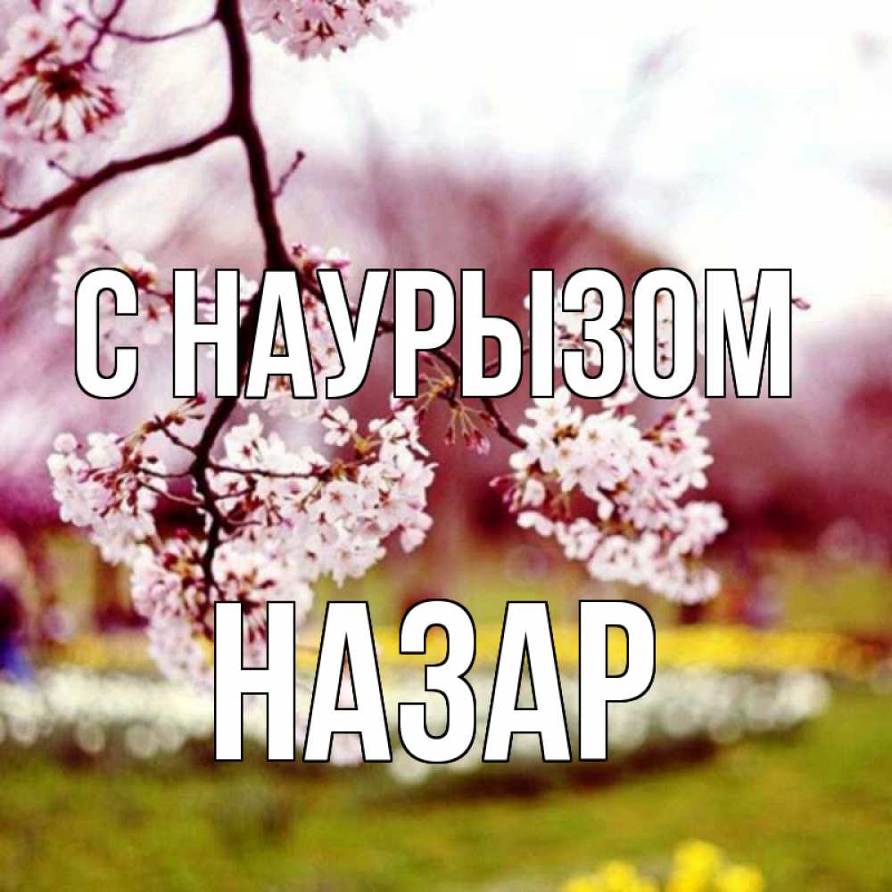 Открытка на каждый день с именем, Назар С наурызом яблоня Прикольная открытка с пожеланием онлайн скачать бесплатно 