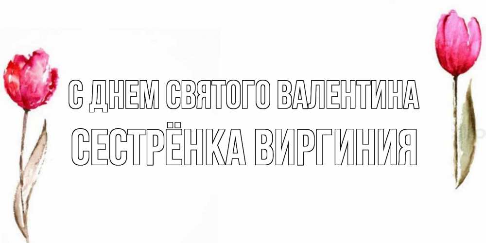 Открытка на каждый день с именем, Сестрёнка-Виргиния С днем Святого Валентина Открытки на день всех влюбленных с тюльпанами акварелью Прикольная открытка с пожеланием онлайн скачать бесплатно 