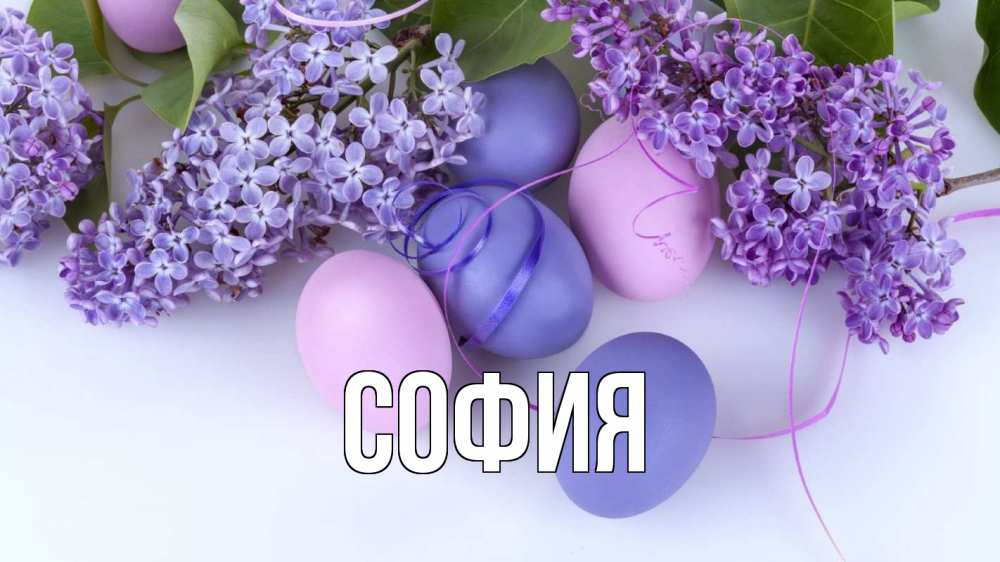 Открытка на каждый день с именем, София Главная пасха Прикольная открытка с пожеланием онлайн скачать бесплатно 