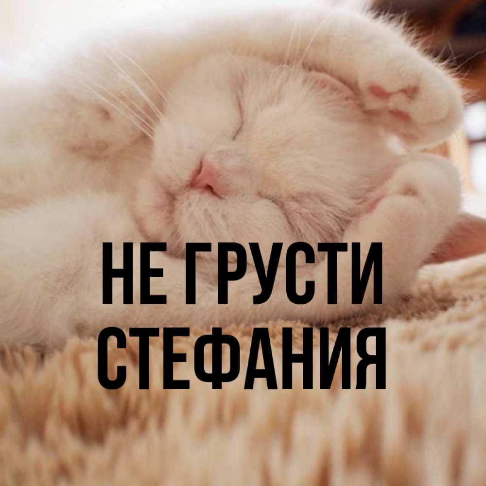 Открытка на каждый день с именем, Стефания Не грусти Котенок спит Прикольная открытка с пожеланием онлайн скачать бесплатно 