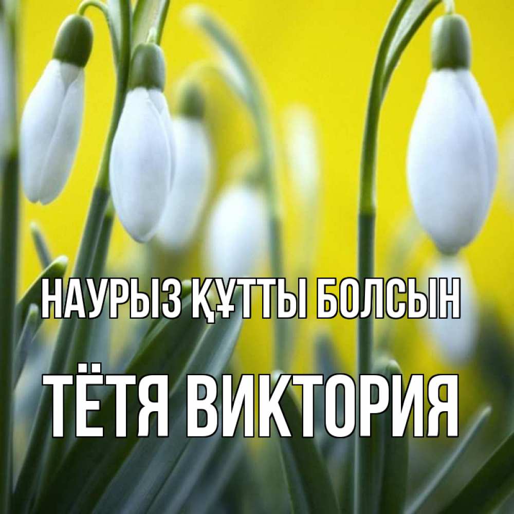 Открытка на каждый день с именем, Тётя-Виктория Наурыз құтты болсын весенние цветы Прикольная открытка с пожеланием онлайн скачать бесплатно 