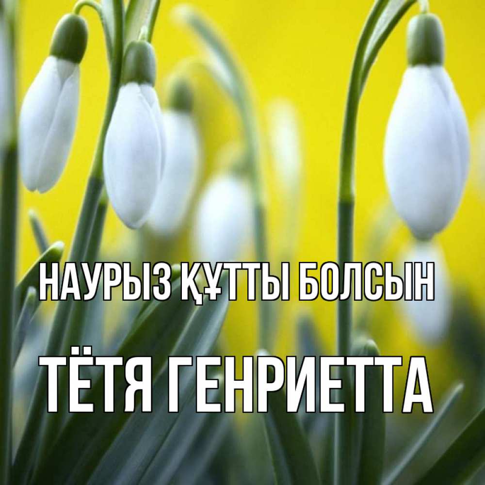 Открытка на каждый день с именем, Тётя-Генриетта Наурыз құтты болсын весенние цветы Прикольная открытка с пожеланием онлайн скачать бесплатно 