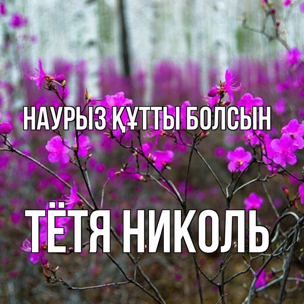 Открытка на каждый день с именем, Тётя-Николь Наурыз құтты болсын дикие цветы Прикольная открытка с пожеланием онлайн скачать бесплатно 