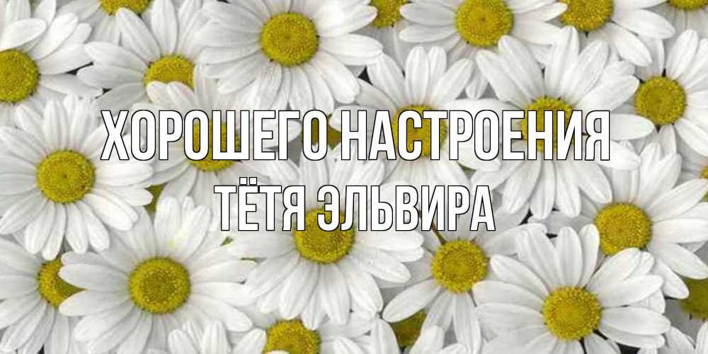 Открытка на каждый день с именем, Тётя-Эльвира Хорошего настроения поляна ромашек Прикольная открытка с пожеланием онлайн скачать бесплатно 