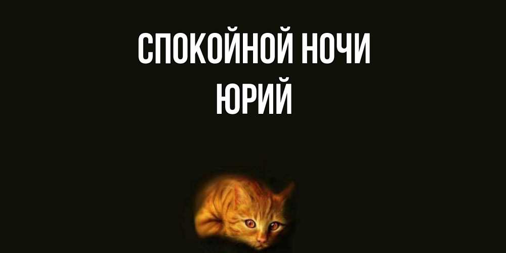 Открытка на каждый день с именем, Юрий Спокойной ночи кот Прикольная открытка с пожеланием онлайн скачать бесплатно 
