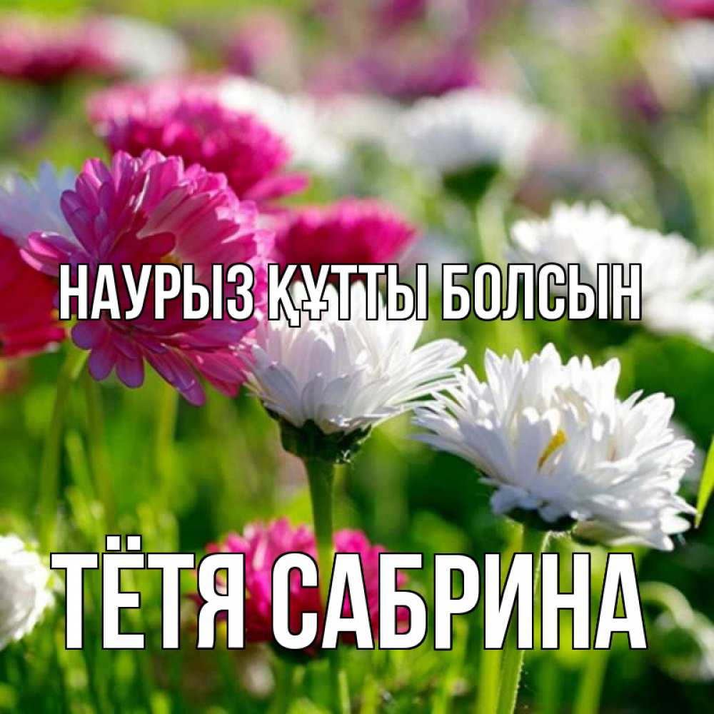 Открытка на каждый день с именем, Тётя-Сабрина Наурыз құтты болсын наурыз Прикольная открытка с пожеланием онлайн скачать бесплатно 