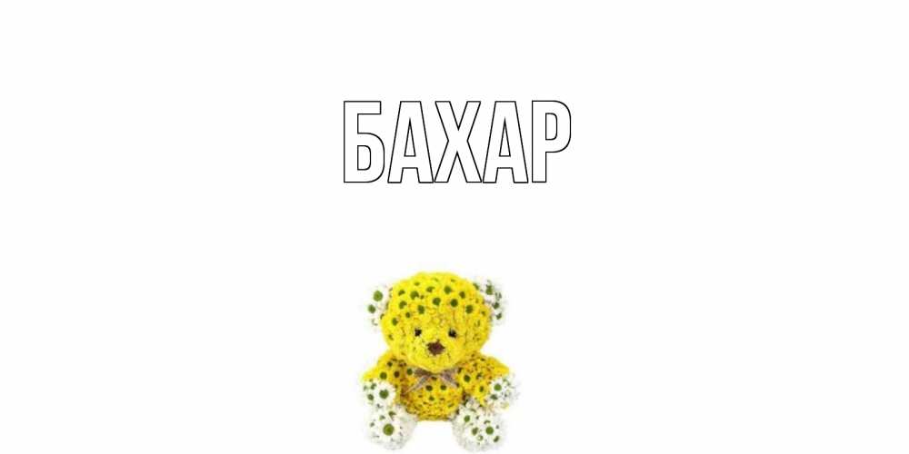 Открытка на каждый день с именем, Бахар Главная мишка Прикольная открытка с пожеланием онлайн скачать бесплатно 