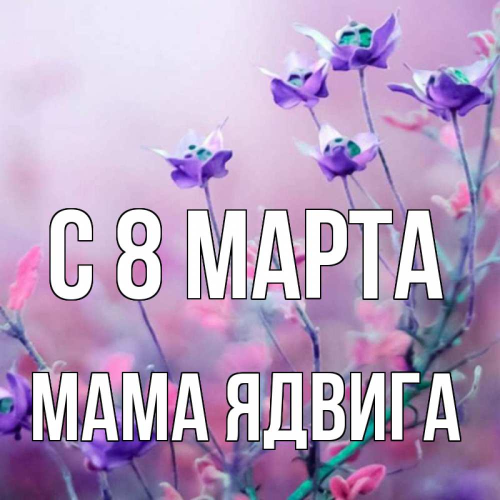 Открытка на каждый день с именем, Мама-Ядвига С 8 МАРТА международный женский день 2 Прикольная открытка с пожеланием онлайн скачать бесплатно 