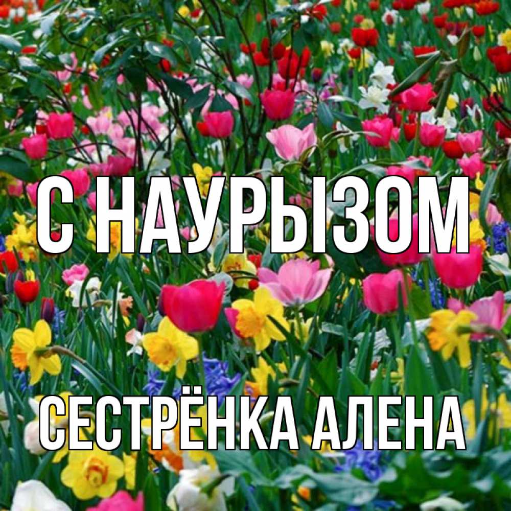 Открытка на каждый день с именем, Сестрёнка-Алена С наурызом с наурызом праздником весны поздравления для женщины Прикольная открытка с пожеланием онлайн скачать бесплатно 