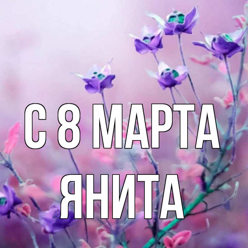 Открытка на каждый день с именем, Янита С 8 марта международный женский день 2 Прикольная открытка с пожеланием онлайн скачать бесплатно 