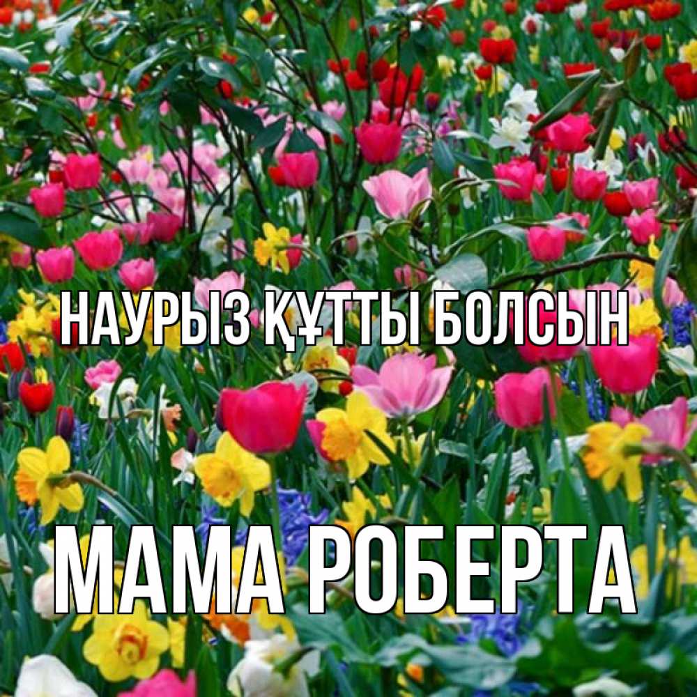 Открытка на каждый день с именем, Мама-Роберта Наурыз құтты болсын с наурызом поздравления для женщины Прикольная открытка с пожеланием онлайн скачать бесплатно 